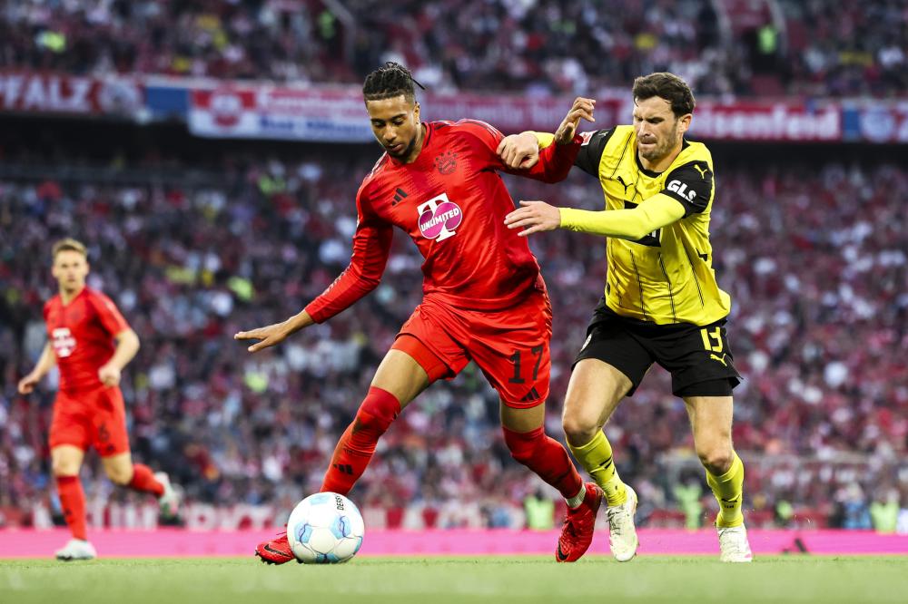 这两支队伍 这两支队伍